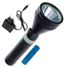 Led Torches & Lights