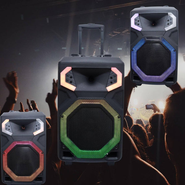 Mitsun Home Theater Mitsun Active Subwoofer 12 Inch Mitsun PS