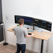 Dual Monitor Desk Arm | 13-27