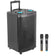12 Inch Trolley Speaker Woofer 80W Power Music Angel Portable Multifunction