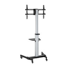TV floor stand with wheel adjustable orientation for portrait and landscape viewing 