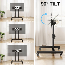 Gadget Wagon Smart Mobile TV Stand with Wheels | Fits 32–75 Inch TVs | Height Adjustable | 50kg Capacity | Office & Home Ready, free shipping