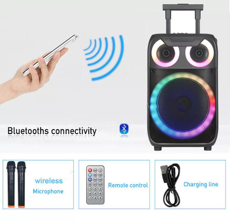 Mitsun 12" Bluetooth Trolley Speaker with Wireless mics, FM Radio, USB & Recording Option, Mic Echo Control, free shipping