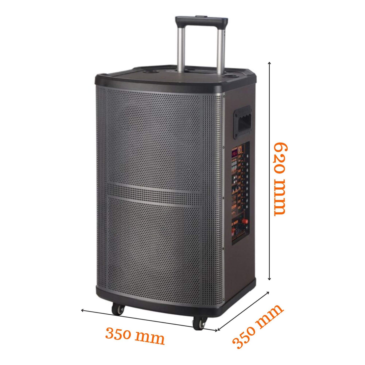 Trolley speaker best sale with mic