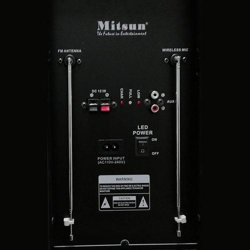 Mitsun 12" Trolley Bluetooth Speaker with 2 Wireless Mics (Black) - GADGET WAGON Trolley Speakers